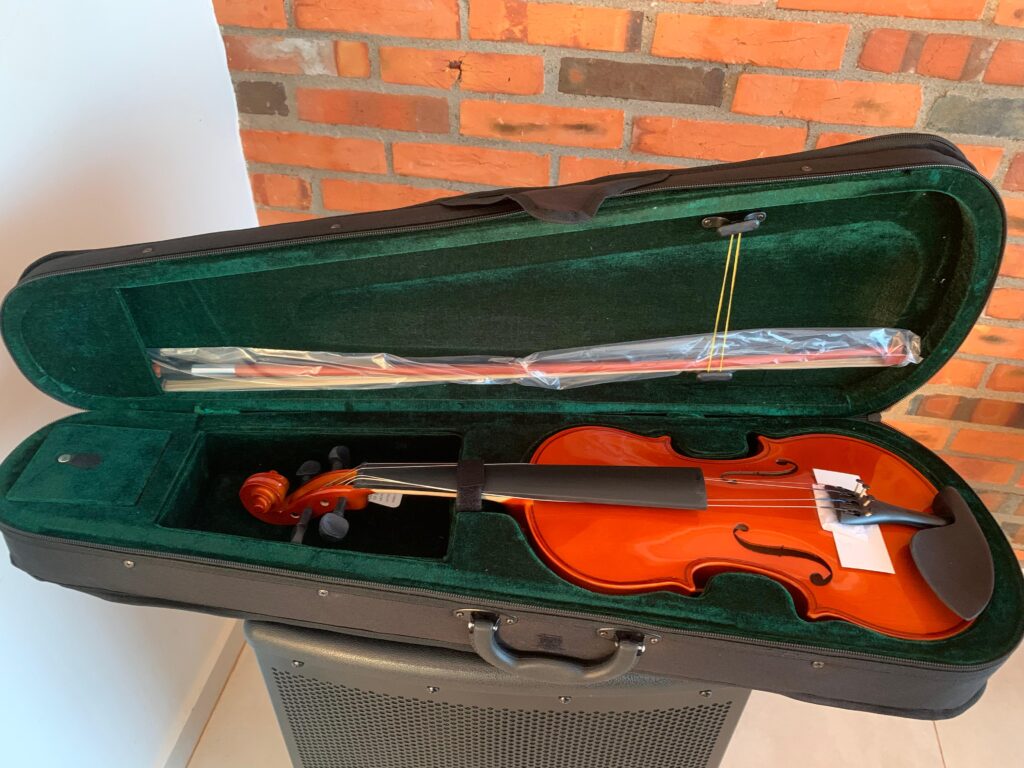 Violin